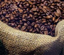 Fresh Coffee Beans