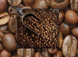 Fresh Coffee Beans